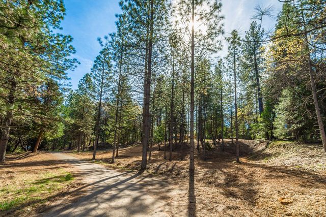 16116 Sycamore Ln, Camptonville, CA 95922