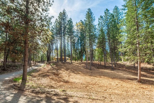 16116 Sycamore Ln, Camptonville, CA 95922