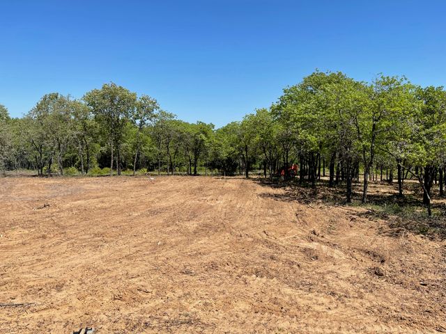 TBD - Lot 88 Blissful Court, Graford, TX 76449
