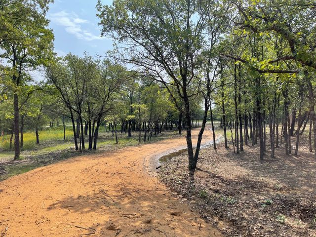 TBD - Lot 88 Blissful Court, Graford, TX 76449