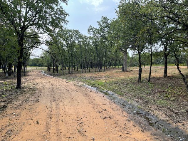 TBD - Lot 88 Blissful Court, Graford, TX 76449