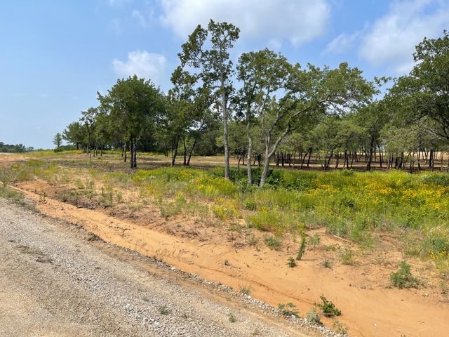 TBD - Lot 88 Blissful Court, Graford, TX 76449