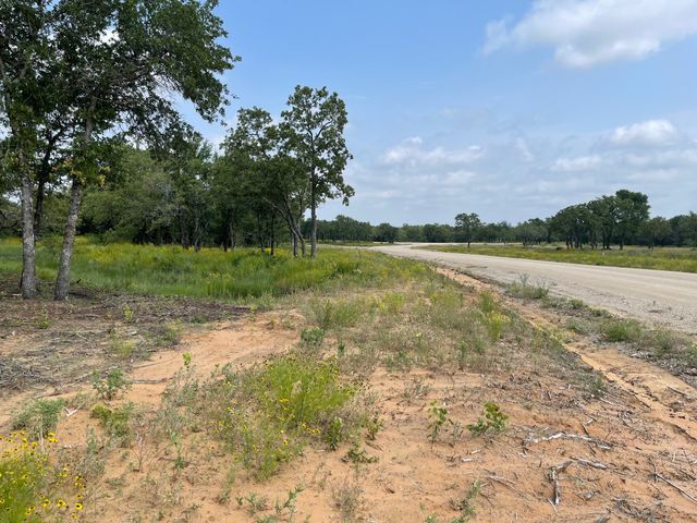TBD - Lot 88 Blissful Court, Graford, TX 76449