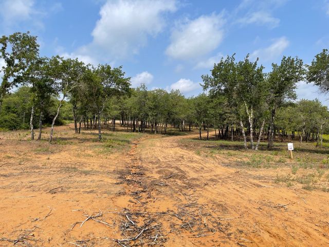 TBD - Lot 88 Blissful Court, Graford, TX 76449