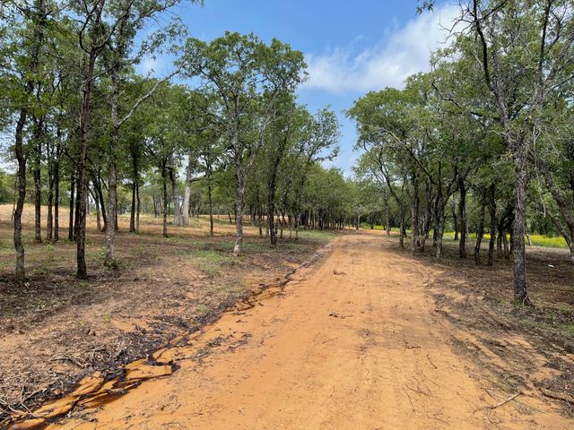 TBD - Lot 88 Blissful Court, Graford, TX 76449