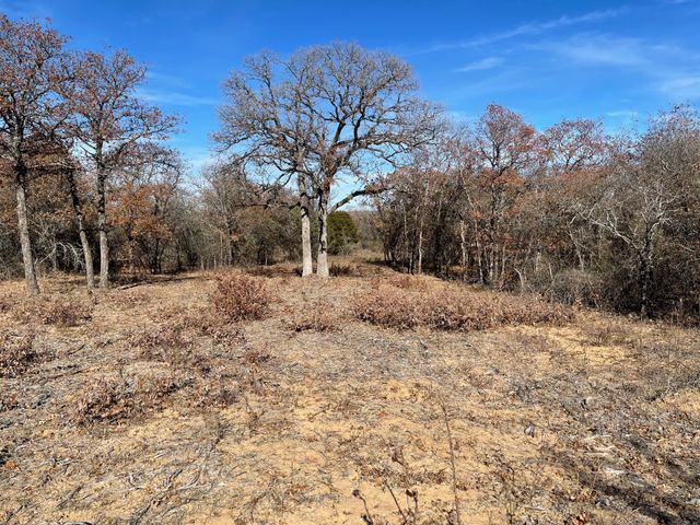 TBD - Lot 88 Blissful Court, Graford, TX 76449