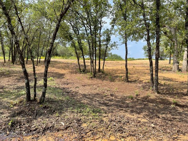 TBD - Lot 88 Blissful Court, Graford, TX 76449