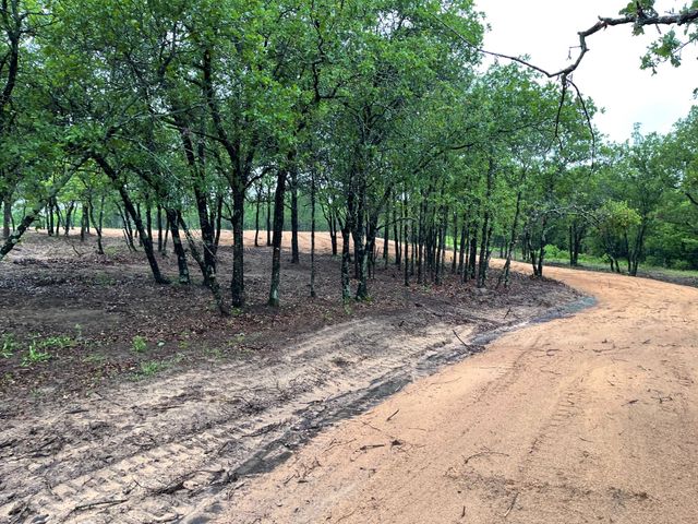 TBD - Lot 88 Blissful Court, Graford, TX 76449