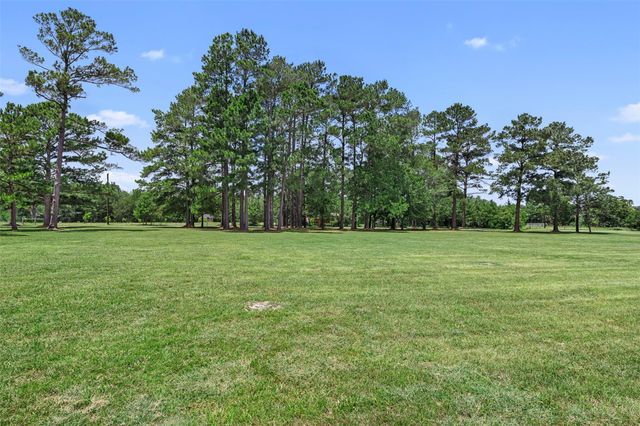 237 Morgan Road, Bedias, TX 77320
