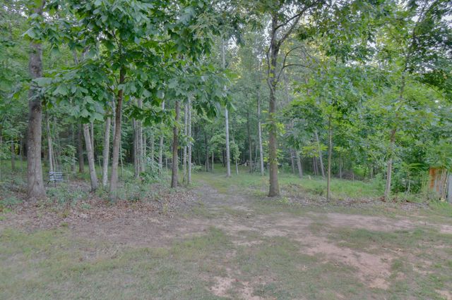 6481 Stewartsville RD, Moneta, VA 24121