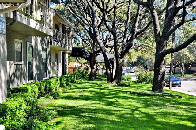 5909 Birchbrook Drive 201, Dallas, TX 75206