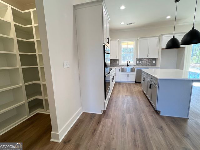 311 Clover Pass, Forsyth, GA 31029