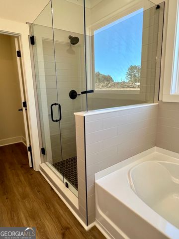 311 Clover Pass, Forsyth, GA 31029