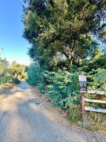 10001 West Drive, Felton, CA 95018