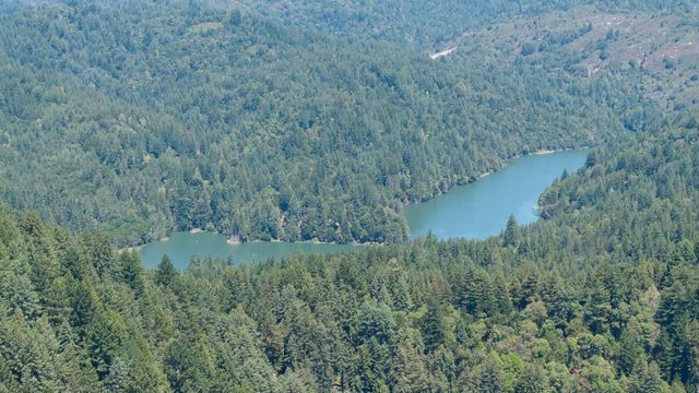 10001 West Drive, Felton, CA 95018