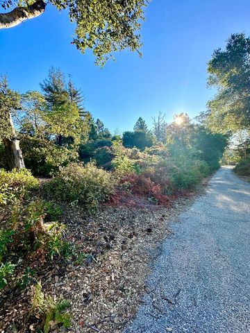 10001 West Drive, Felton, CA 95018