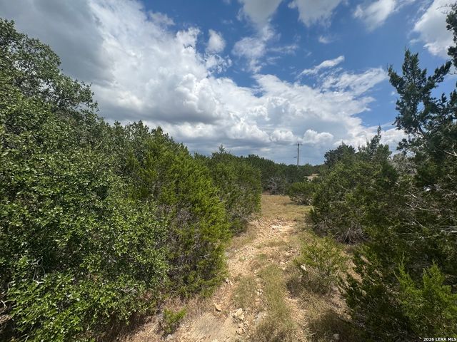 168 BRUSHY RD, Spring Branch, TX 78070