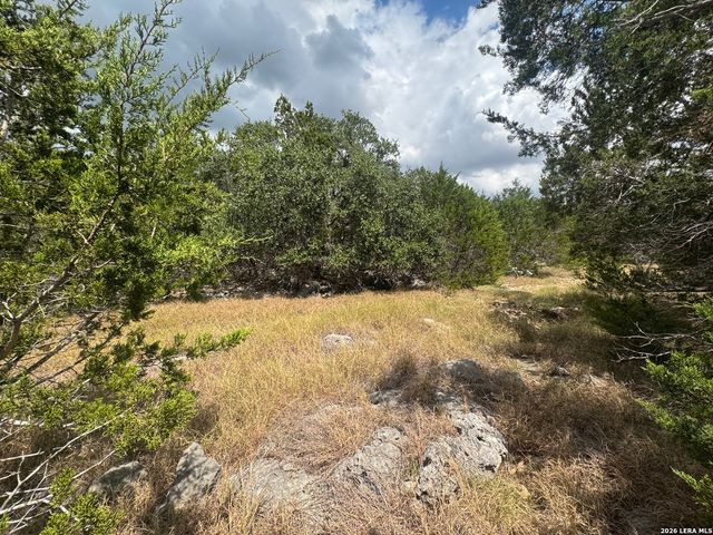 168 BRUSHY RD, Spring Branch, TX 78070