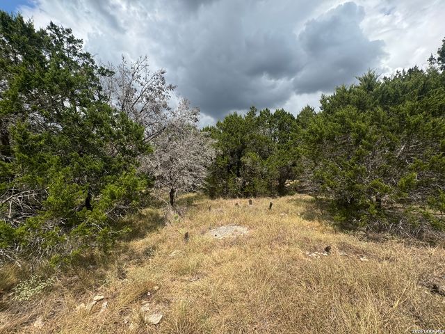 168 BRUSHY RD, Spring Branch, TX 78070
