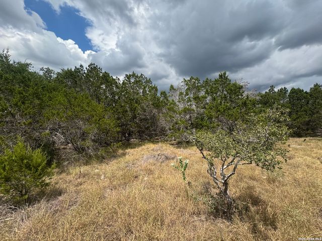 168 BRUSHY RD, Spring Branch, TX 78070