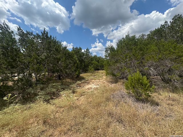168 BRUSHY RD, Spring Branch, TX 78070
