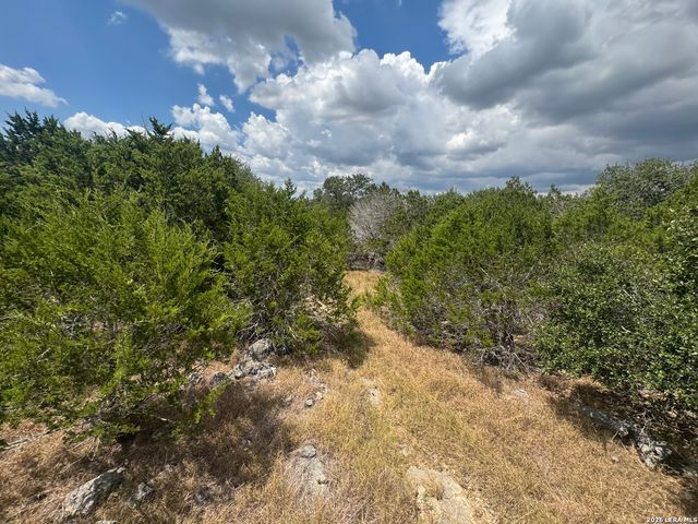 168 BRUSHY RD, Spring Branch, TX 78070