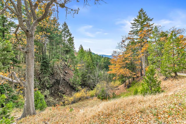 108 Baldy Creek Road 1102, Ashland, OR 97520