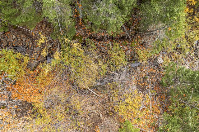 108 Baldy Creek Road 1102, Ashland, OR 97520