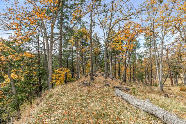 108 Baldy Creek Road 1102, Ashland, OR 97520