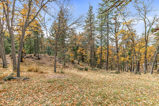 108 Baldy Creek Road 1102, Ashland, OR 97520