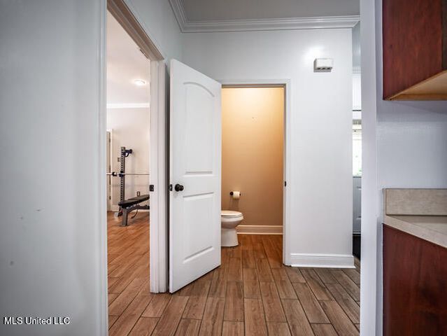 123a File Road, Oxford, MS 38655