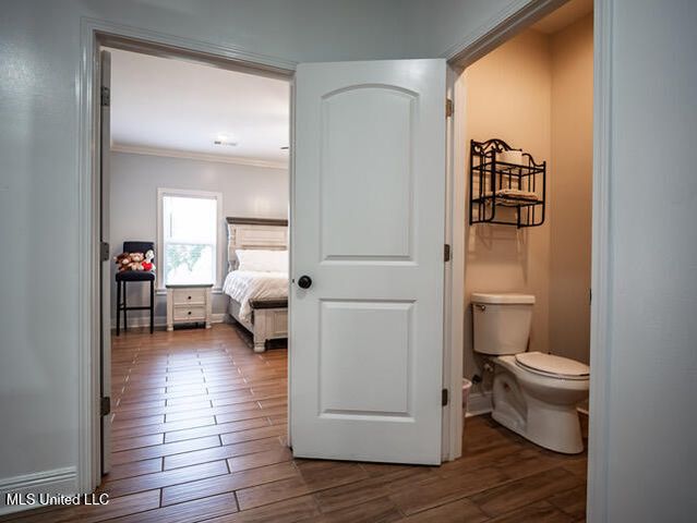 123a File Road, Oxford, MS 38655