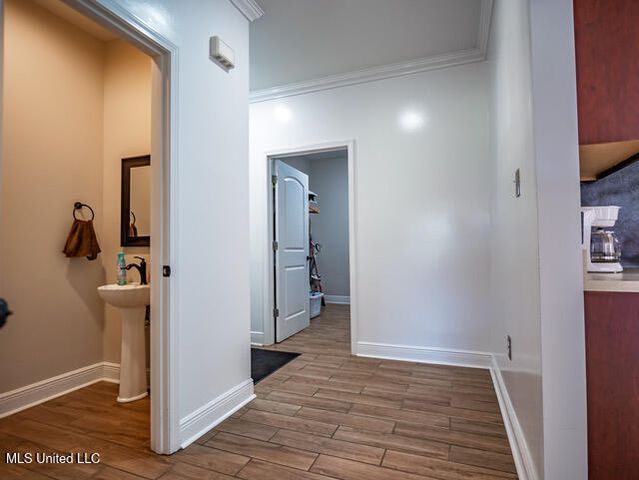 123a File Road, Oxford, MS 38655