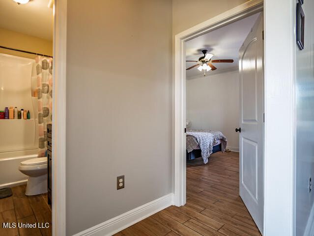 123a File Road, Oxford, MS 38655