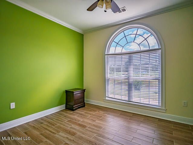 123a File Road, Oxford, MS 38655