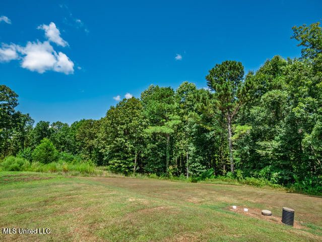 123a File Road, Oxford, MS 38655