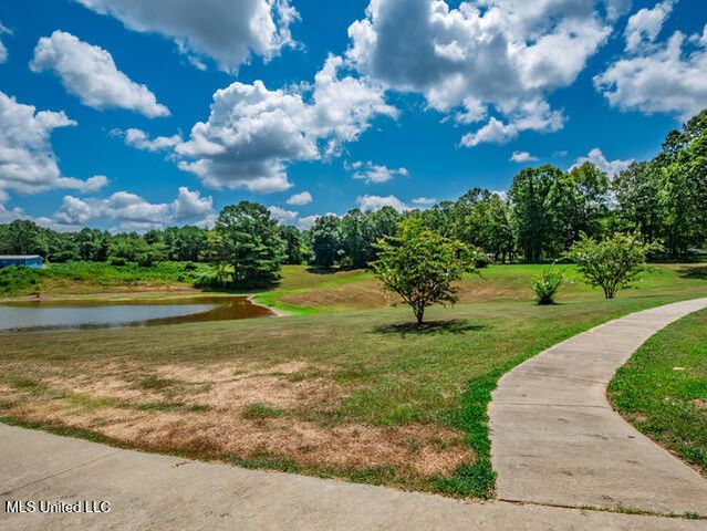 123a File Road, Oxford, MS 38655