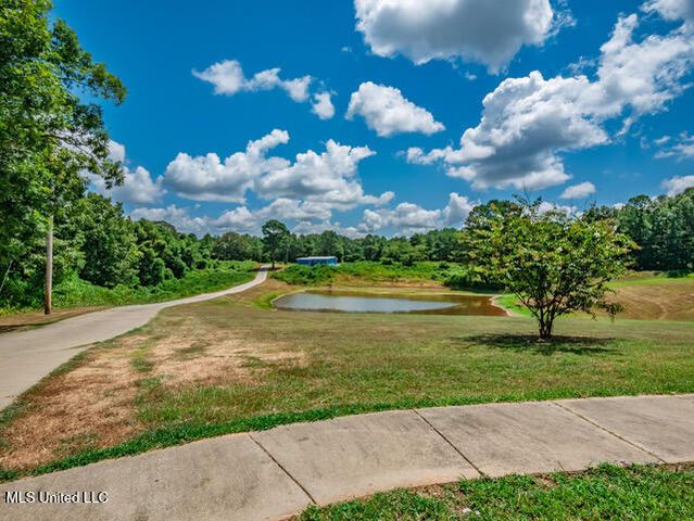 123a File Road, Oxford, MS 38655