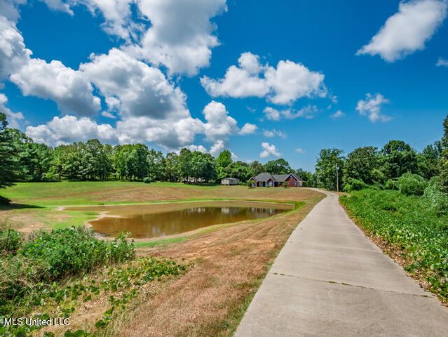 123a File Road, Oxford, MS 38655