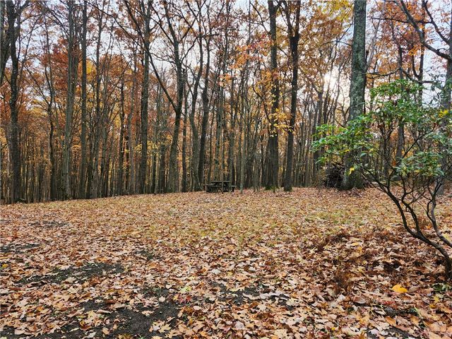 248 Greenbrier Rd, Bullskin Twp, PA 15610