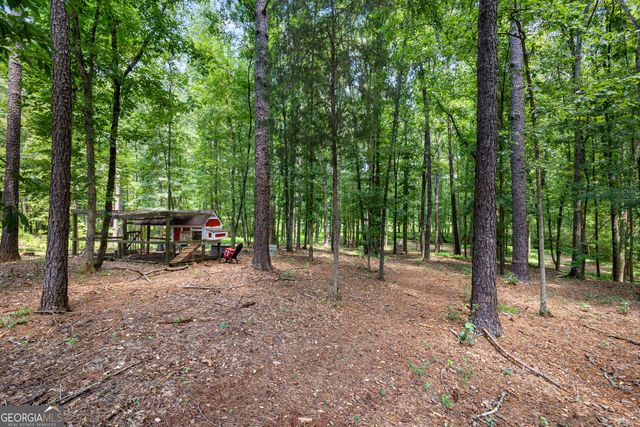 318 Teasley Trail, Moreland, GA 30259