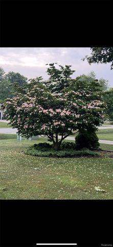 3669 Connie Lane, Fort Gratiot Charter Township, MI 48059