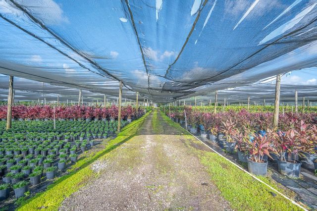 20750 SW 256 Street, Homestead, FL 33031