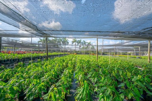20750 SW 256 Street, Homestead, FL 33031