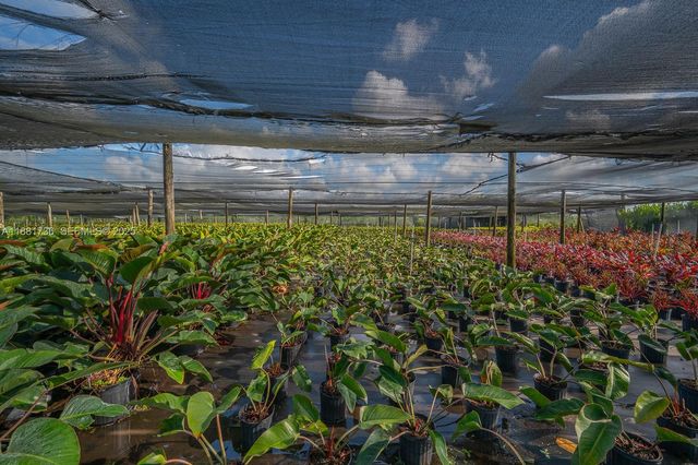 20750 SW 256 Street, Homestead, FL 33031