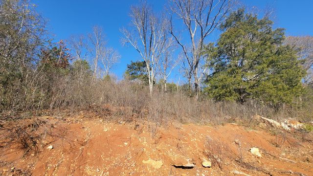 115 Lake Shore Drive, Jasper, TN 37347