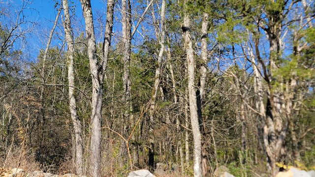 115 Lake Shore Drive, Jasper, TN 37347