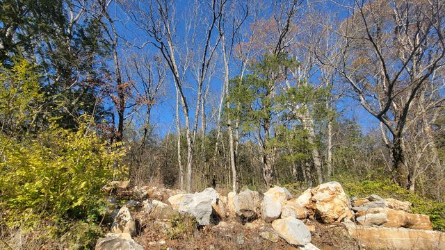 115 Lake Shore Drive, Jasper, TN 37347