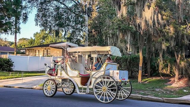 2774 ARMADALE DRIVE, Mount Dora, FL 32757