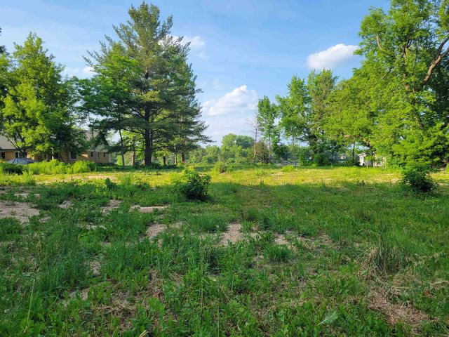 VL W Brown Street, Beaverton, MI 48612